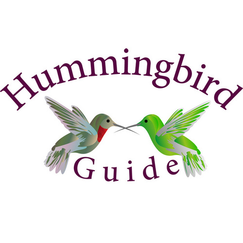 We are hummingbird lovers: thus our hummingbird guide website and store stocked with feeders,accessories,wind chimes,bird baths and hummingbird gifts.