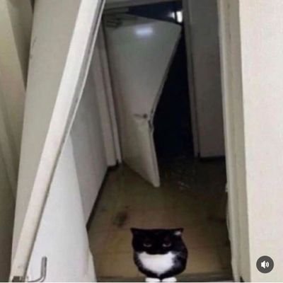 AndrsCasti30134's profile picture. 