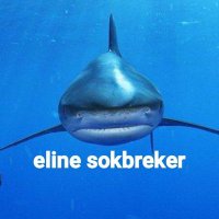 eline sokbreker(@souleline) 's Twitter Profile Photo