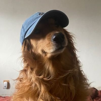 НЕДО.さんのプロフィール画像