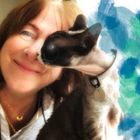 Christiane (@mymellocello) 's Twitter Profile Photo Christiane (@mymellocello) 's Twitter Profile Photo