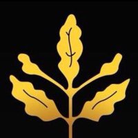 🇹🇷Trabzon Hariç KARADENİZLİ🇹🇷 (@fatiherenf) 's Twitter Profile
