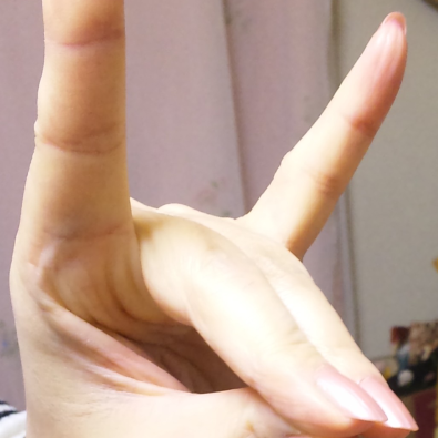 手ぎつねの人(射影前)