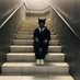 that guy (@sadevilboy) Twitter profile photo that guy (@sadevilboy) Twitter profile photo
