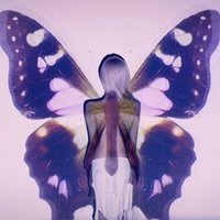 chichi (@chichi2k20) 's Twitter Profile