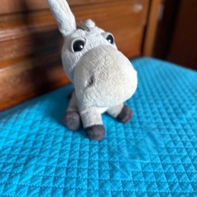 rei53889's profile picture. 