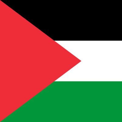 Don't post a lot. I just like and retweet stuff.
Second account @ThatGuyNG06
#FreePalestine
#CeasefireNOW