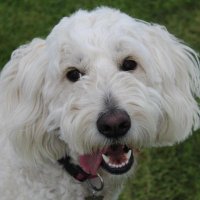 Kate Fitzgerald (@kfitzgerald2022) 's Twitter Profile