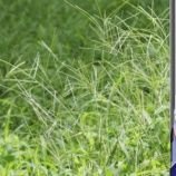 aiueo__sann's profile picture. 絵のアカウントです！
低浮上！🙏🏻🙏🏻フォロー外されたらもちろん外し返します🕺🏻🕺🏻