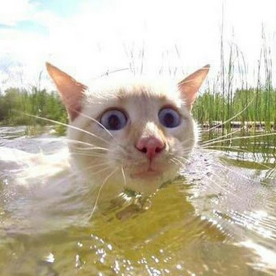 ImonLusk's profile picture. 