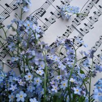 La🌸 (@pxdst127) 's Twitter Profile