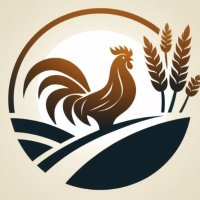 A Limia News / Xinzo News (@alimianews) 's Twitter Profile