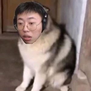 kungmg1872903's profile picture. 