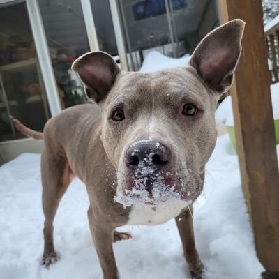 shear89's profile picture. 