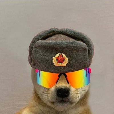 Russian New Yorker

professional twitter lurker

龙

pfp dogswifhats

ᚱᚹᛟ