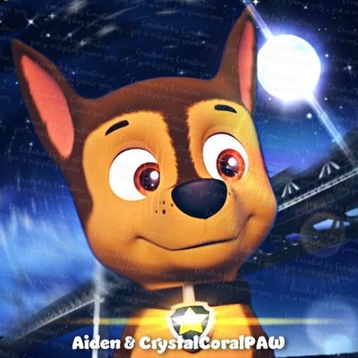 Aidan1234🇺🇸 ❤️chase from paw patrol and movie❤️