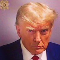 Fearless45(@Fearless45Trump) 's Twitter Profile Photo