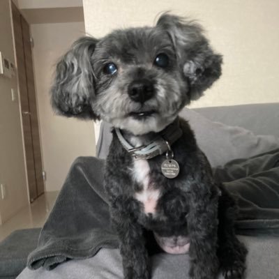 K_kkkk8's profile picture. 