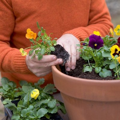 DAlvels400's profile picture. The world is amazing