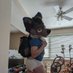 Puppy Reese 🔜 GB, MFF (@puppy_reese) Twitter profile photo Puppy Reese 🔜 GB, MFF (@puppy_reese) Twitter profile photo