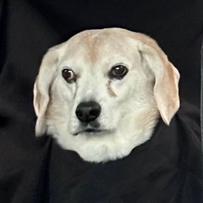 kangas_takashi's profile picture. A Fermented Food Connoisseur