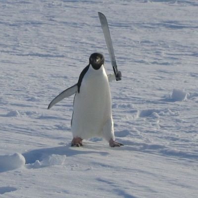 PenguInBr0's profile picture. 