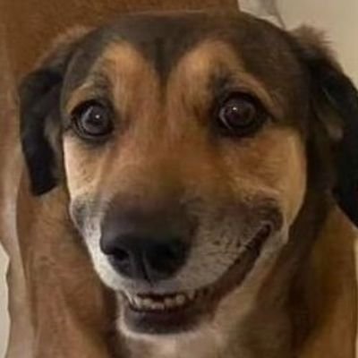 srsvale's profile picture. Não encontrando sentido na vida, fizeram-no ter esperança na morte.