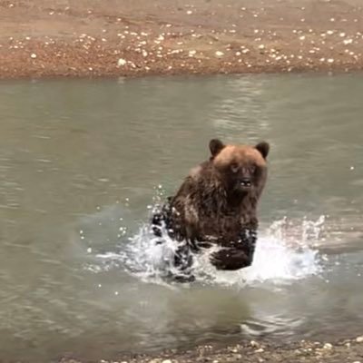 CrazyEye1948's profile picture. Conservative, proud to be an American!