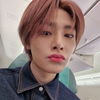 fairyinniee's profile picture. 