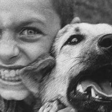 youwillremain's profile picture. 