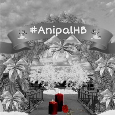 AnipalHB Profile Picture