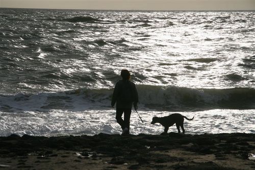 RCouteaux's profile picture. 