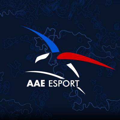 Association Esport & Gaming de l'Armée de l'Air et de l'Espace

