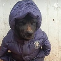 alex (@mighteeeeh) 's Twitter Profile