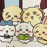 ちーちゃん💰インデックス投資 (@chitakafuyu) 's Twitter Profile