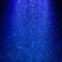 ピカ (@hmak1001) 's Twitter Profile