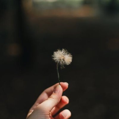 kasamanalin's profile picture. 