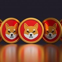 shib army (@kashimehar44041) 's Twitter Profile