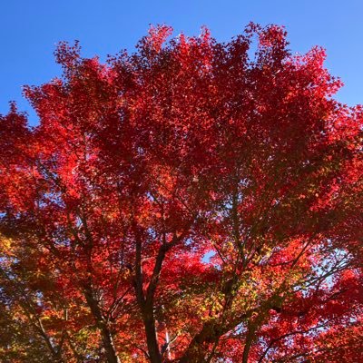 twit_ats's profile picture. 自社開発から自社開発へ転職してcseとなりました。僕が未経験からエンジニアになった経験談→ https://t.co/JuDGUYyBwQ 20代を全力で生きたいかたへ→ 固定ツイートから！