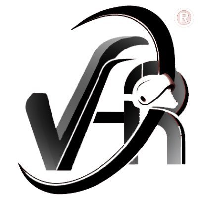 vrarchitecture_'s profile picture. 