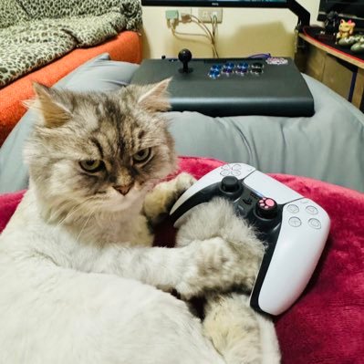 來自台灣(Taiwan) 友善的休閒玩家~ (=ↀωↀ=) 🎮 私は外国語が話せないので、いつも翻訳ソフトを使っています。PSN ID:NICEBALL2017 Street Fighter 6 & Samurai Shodown 友達を追加することを歓迎します~ 🙇