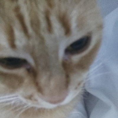 pach18211's profile picture. 