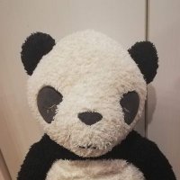 兼業大家 (@shindanshi_oya) Twitter profile photo