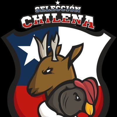 Cuenta oficial selección Chilena #CR