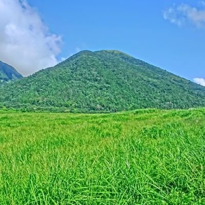 runchan1122's profile picture. 生粋のG党
 バレー ゴルフ
サイン集め