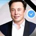 Elon Reeve Musk (@Elonmusktr4185) Twitter profile photo