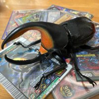 グランザー (@glranzer) 's Twitter Profile
