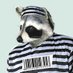 🦝 Mapachismo 🦝 (@mapache778) Twitter profile photo 🦝 Mapachismo 🦝 (@mapache778) Twitter profile photo