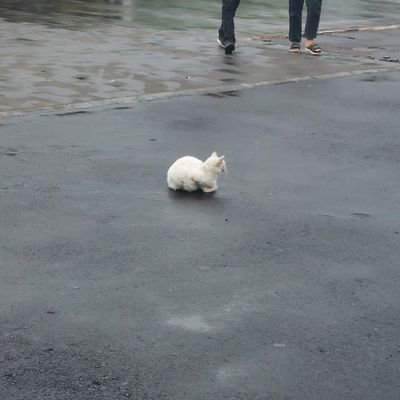 andalan_joki's profile picture. mengerjakan tugas paper, review jurnal, power point, dll.
harga menyesuaikan kantong anda