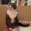 Elin Li - @ElinYLi - Twitter